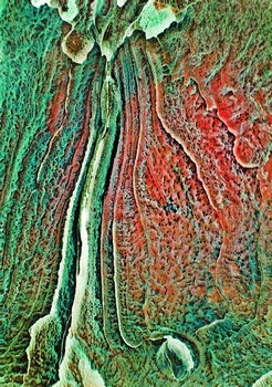 A 11B